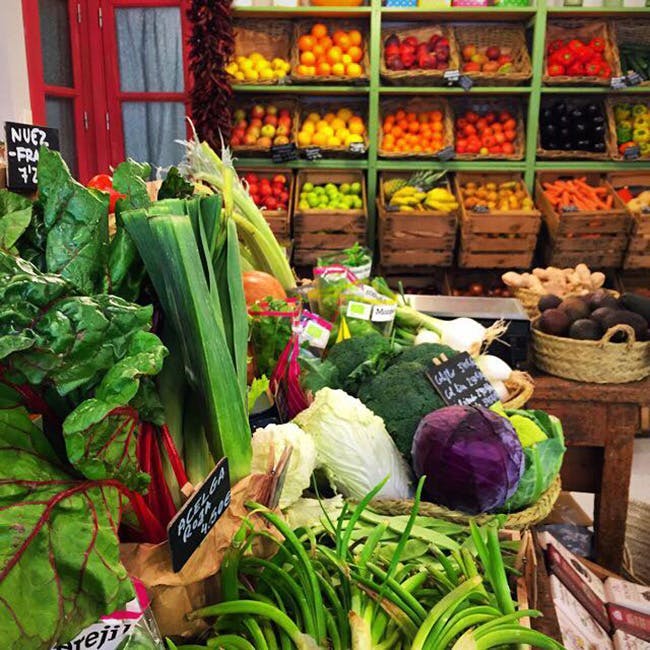plant grocery store shop market