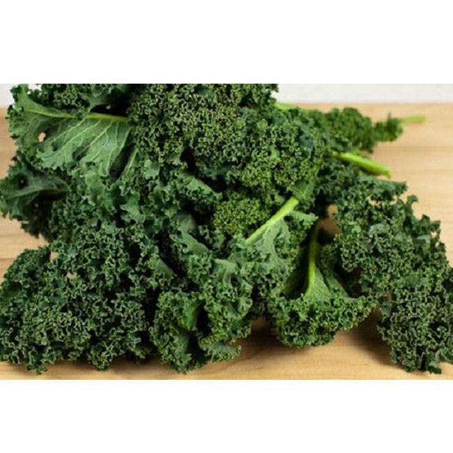 kale plant vegetable food cabbage